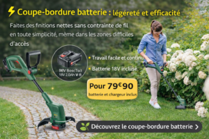 coupe-bordure batterie 18V utilisé pour tailler les bordures de pelouse avec batterie et chargeur inclus à 79,90€