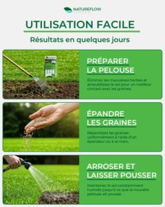 comment semer gazon regarnissage rapide préparation épandage arrosage