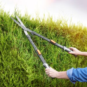 outils entretien jardin taille-haie télescopique utilisé pour couper des haies épaisses