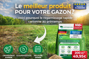 regarnissage gazon rapide avant après pelouse dense 200 m2 semences croissance rapide 49,95€